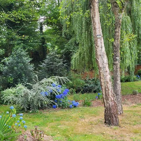 Sur L'eau Dans Un Cadre Idyllique Hotel na wodzie Nesmy