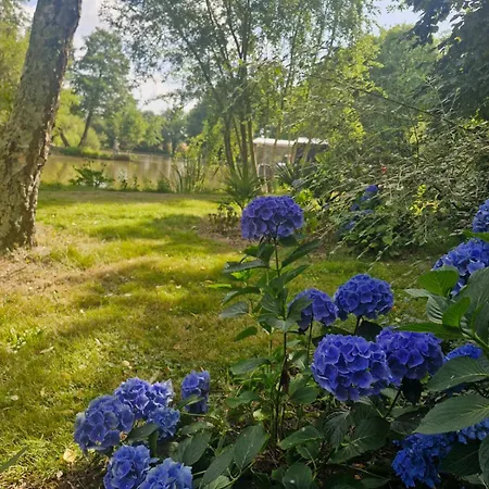 Sur L'eau Dans Un Cadre Idyllique Hotel na wodzie