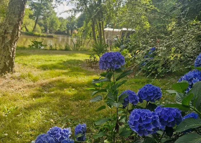 Sur L'eau Dans Un Cadre Idyllique Botel